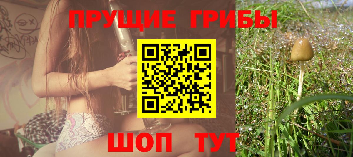 Псилоцибиновые грибы GOLDEN TEACHER Туапсе